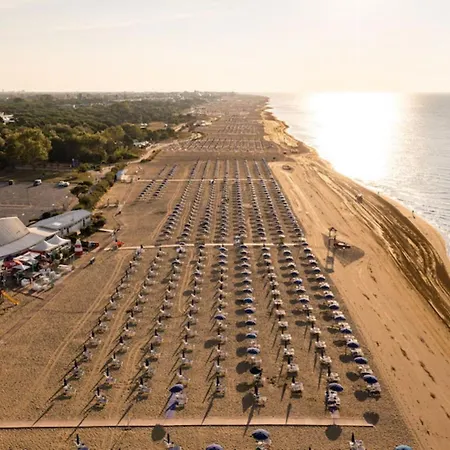 Cozy Flat Near The Apartment *